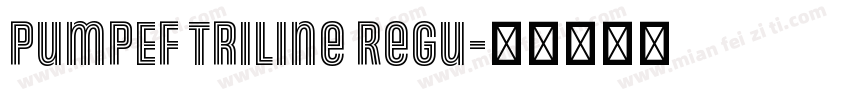 PumpEF Triline Regu字体转换